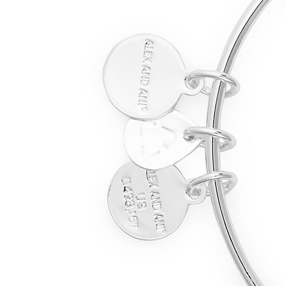 Cinderella Castle Bangle by Alex and Ani