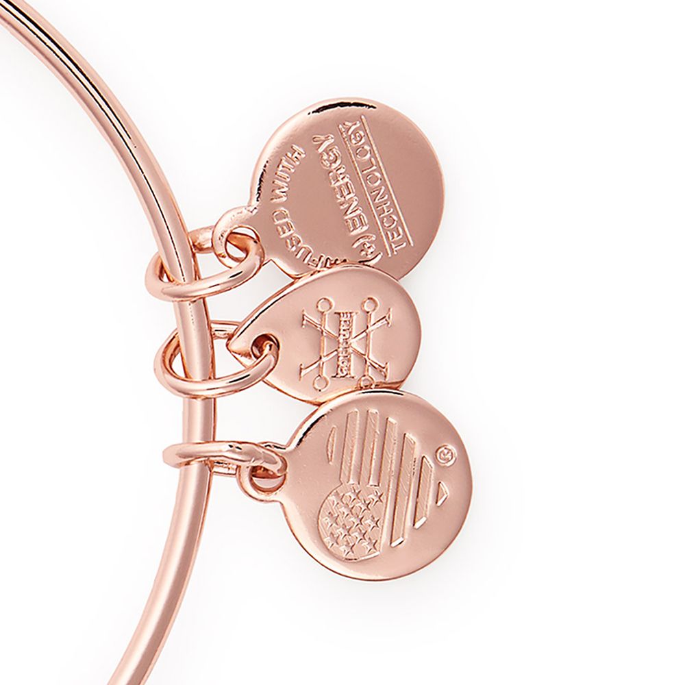 Sleeping Beauty Castle Bangle by Alex and Ani