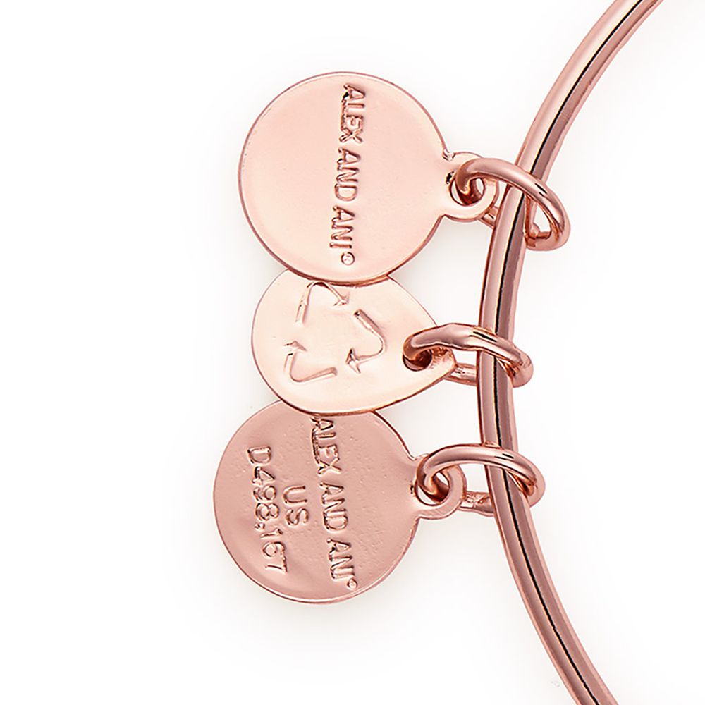 Sleeping Beauty Castle Bangle by Alex and Ani