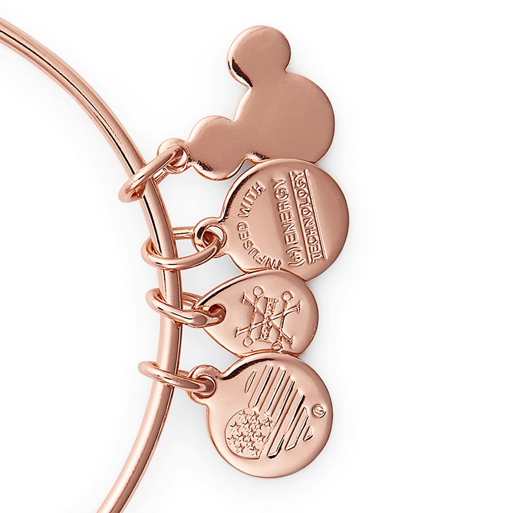 Meeko Bangle by Alex and Ani – Pocahontas