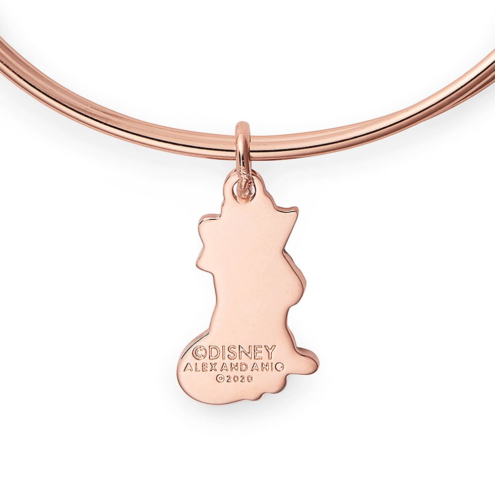 Meeko Bangle by Alex and Ani – Pocahontas