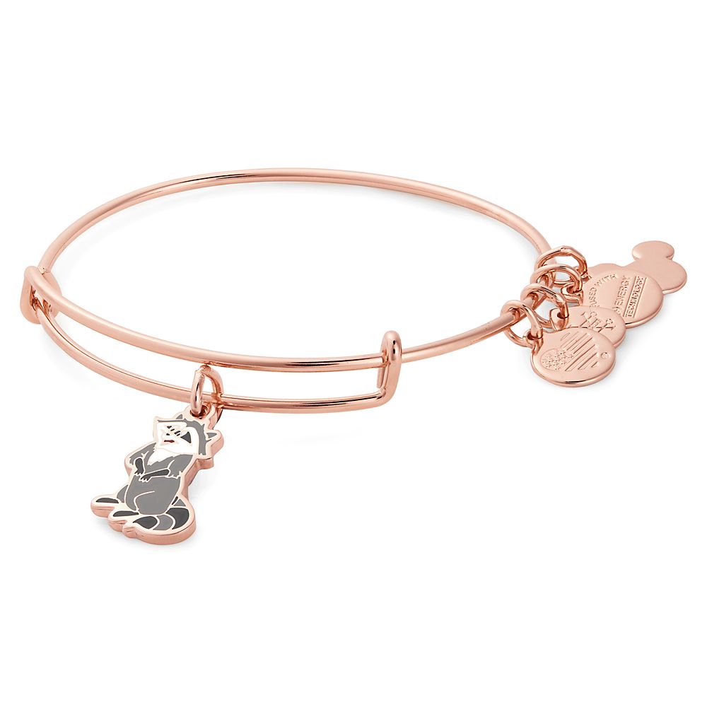 Meeko Bangle by Alex and Ani – Pocahontas