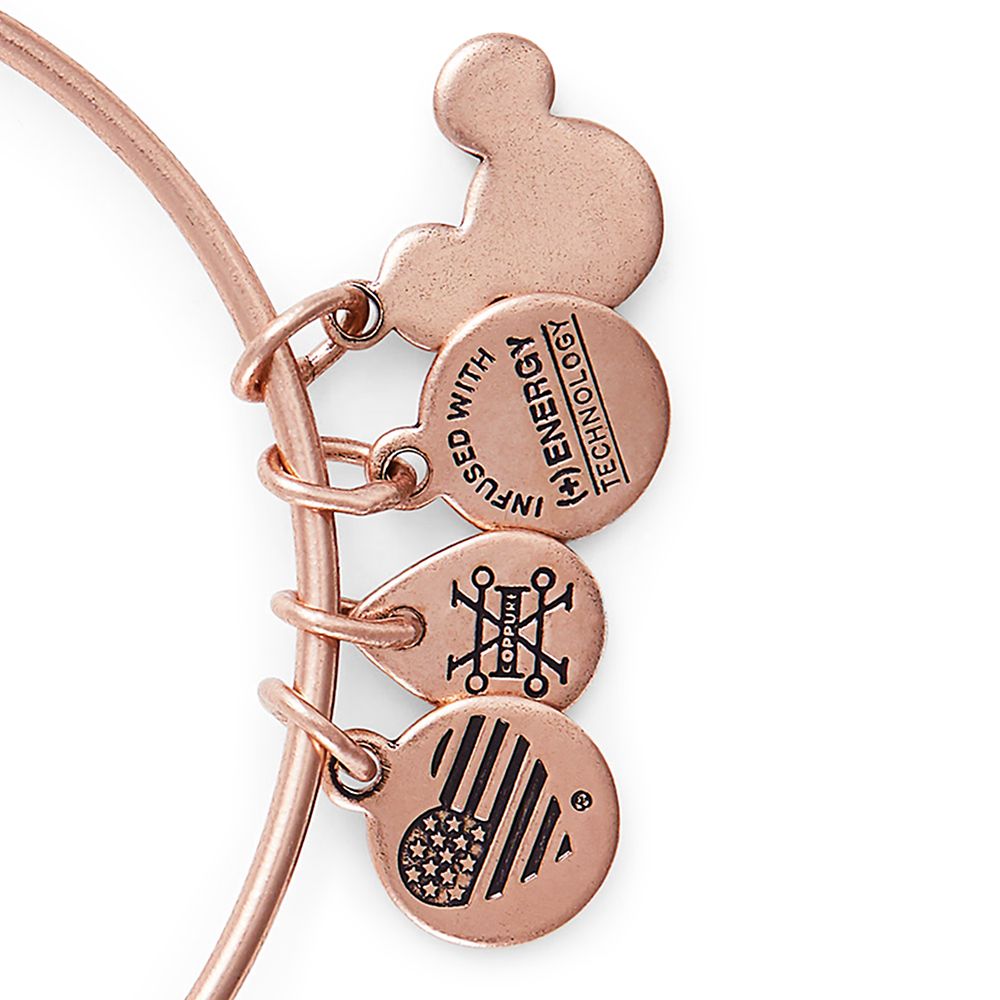 Pocahontas Bangle by Alex and Ani