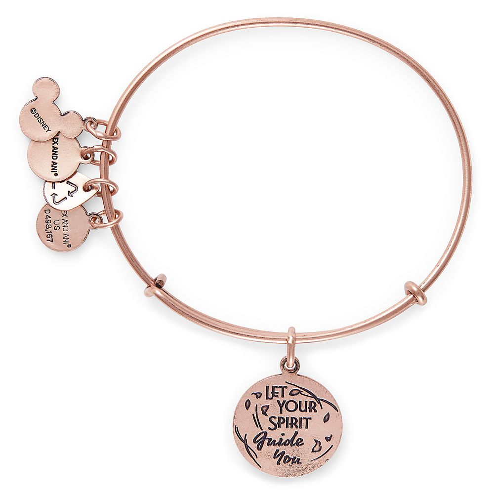 Pocahontas Bangle by Alex and Ani