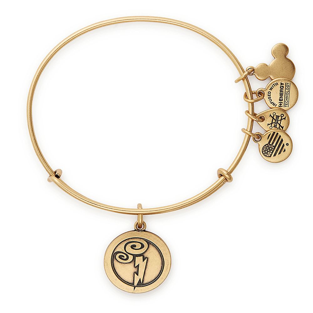 Hercules Bangle by Alex and Ani