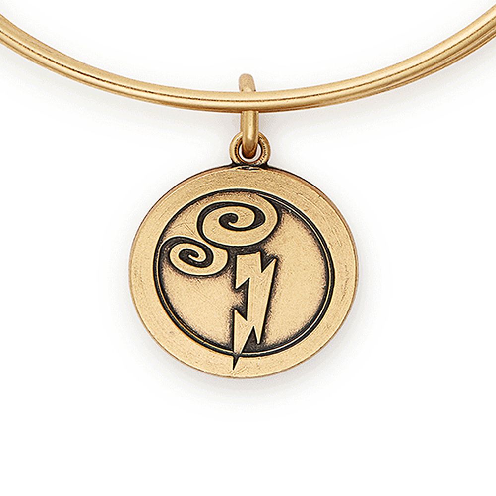 Hercules Bangle by Alex and Ani