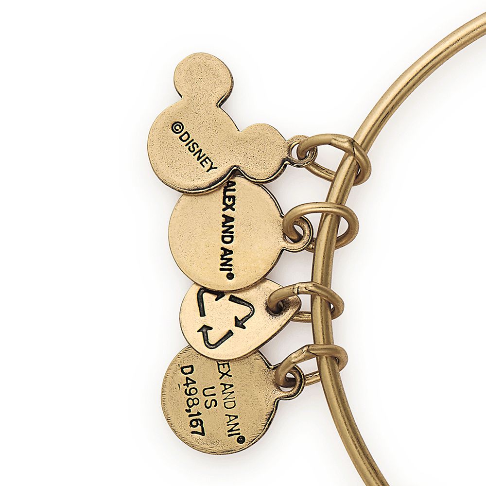 Hercules Bangle by Alex and Ani