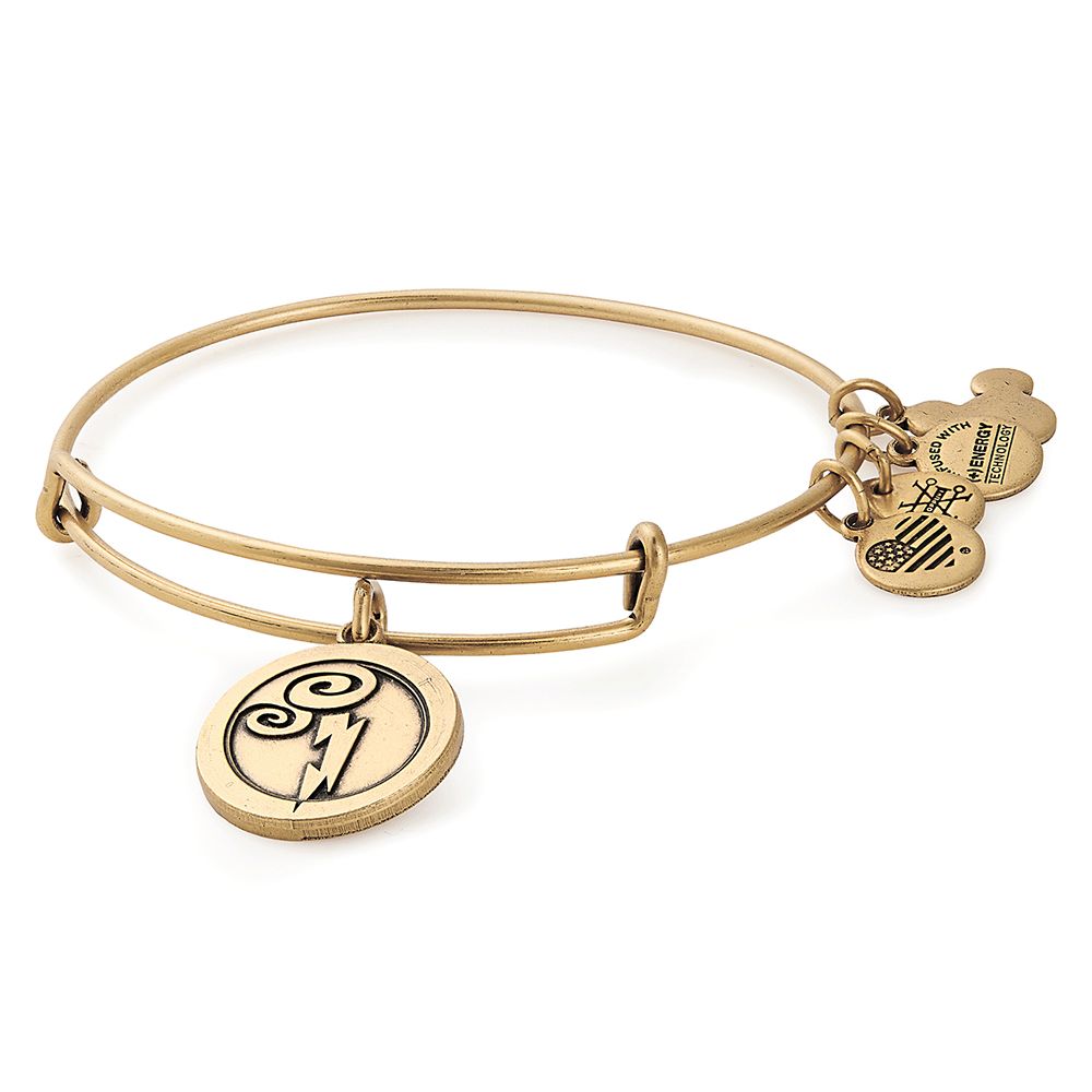 Hercules Bangle by Alex and Ani