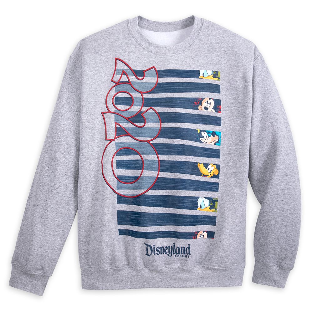 disneyland park sweatshirt