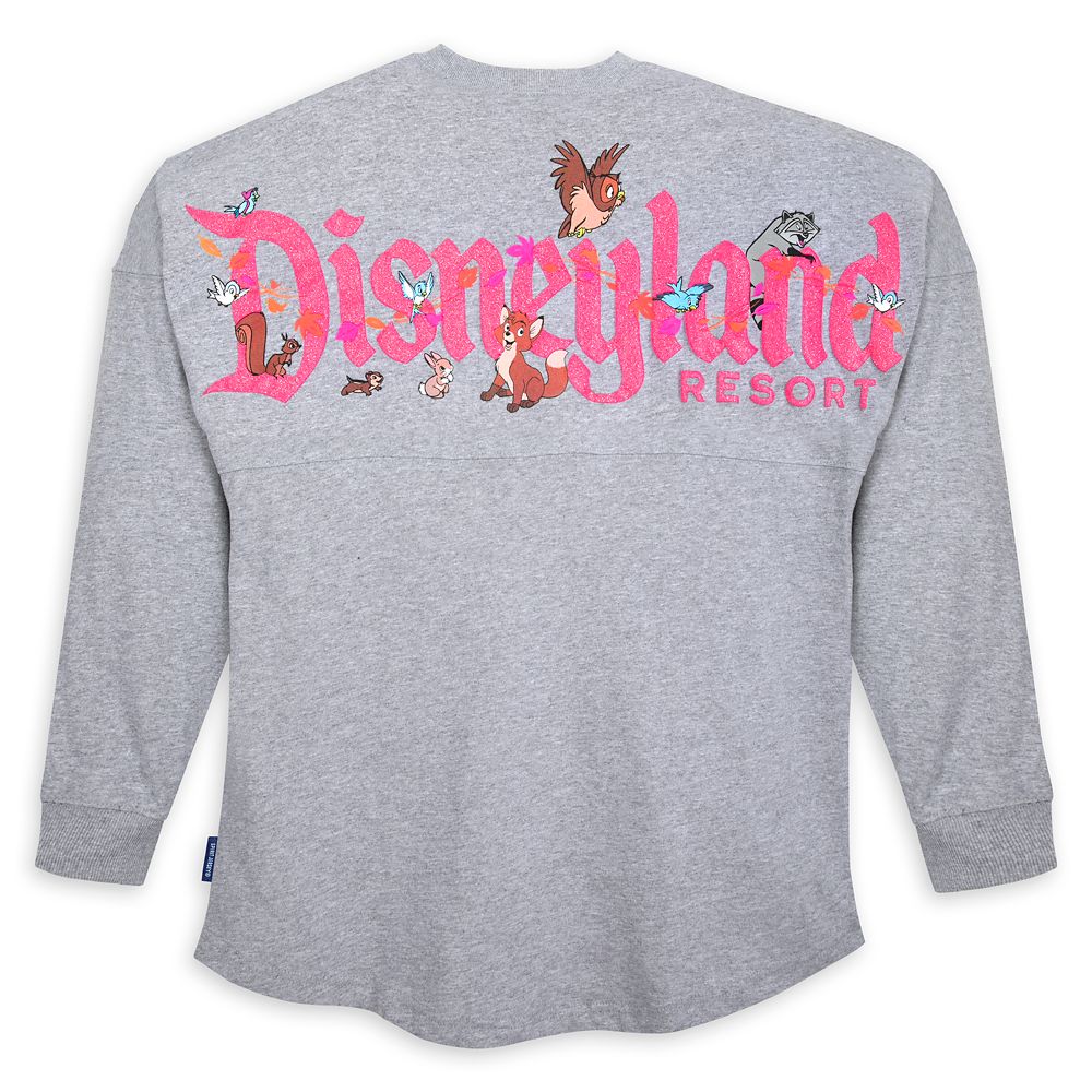 disneyland spirit jersey