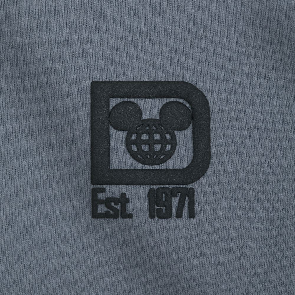 Free Free 124 Disney World Spirit Jersey Svg SVG PNG EPS DXF File