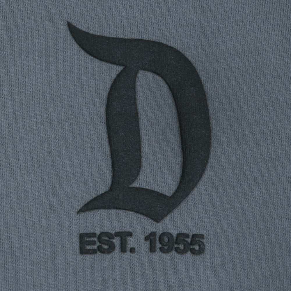 Free Free 193 Disney Spirit Jersey Svg SVG PNG EPS DXF File