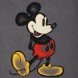 Mickey Mouse V-Neck T-Shirt for Women – Disneyland – Charcoal
