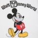 Mickey Mouse Fashion T-Shirt for Women – Walt Disney World