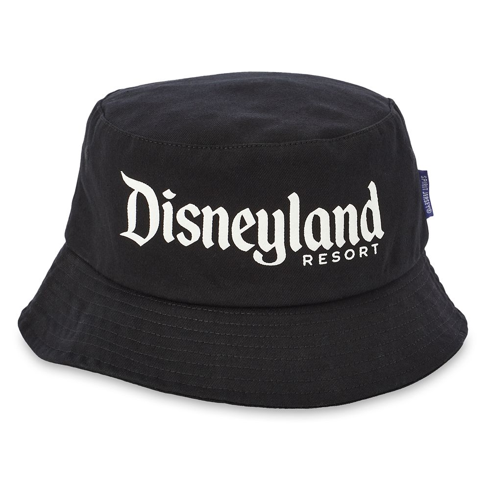 Disneyland Hats 2024 - Clair Demeter