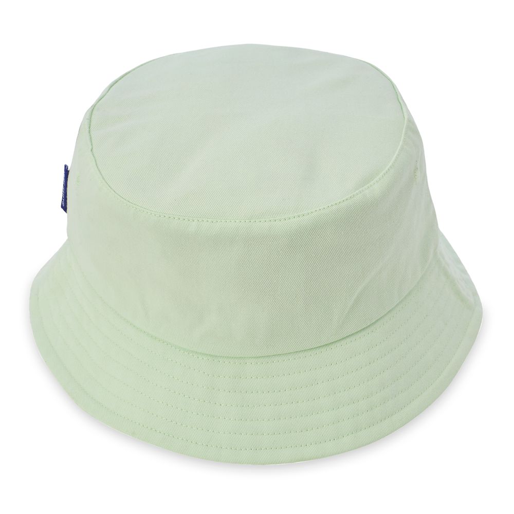 Walt Disney World Bucket Hat for Adults by Spirit Jersey – Mint