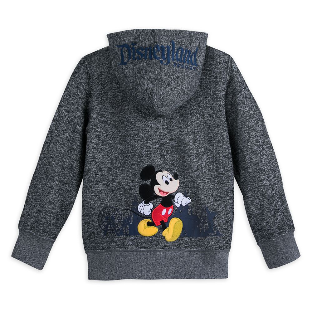 mickey and friends hoodie