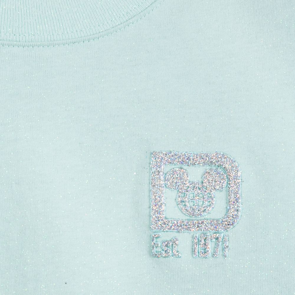 walt disney world spirit jersey