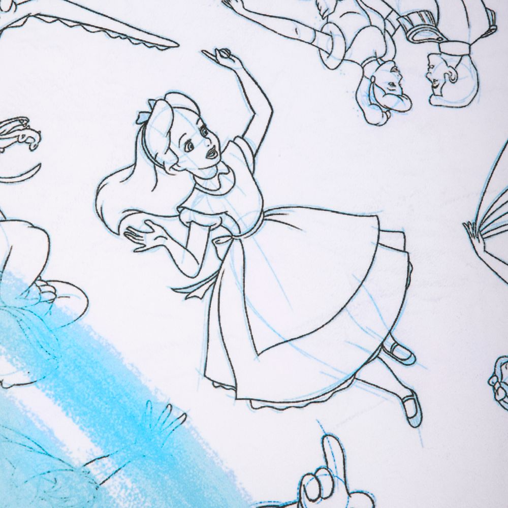 Disney Ink & Paint Throw – Walt Disney World