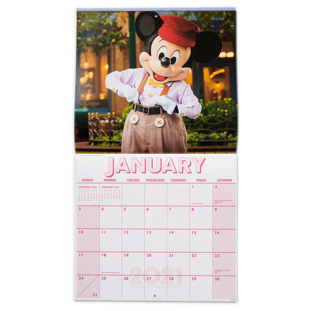 Disneyland 16 Month Calendar 2020-2021