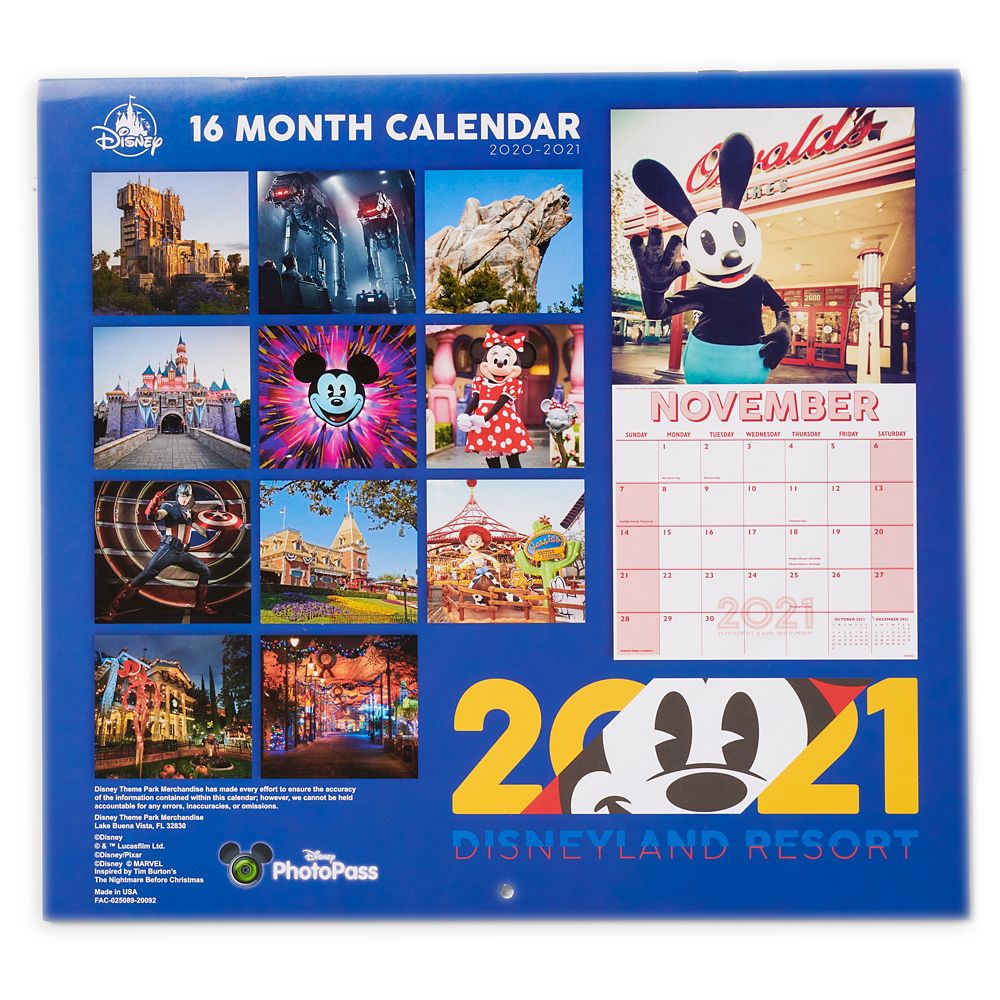 Disneyland 16 Month Calendar 2020-2021