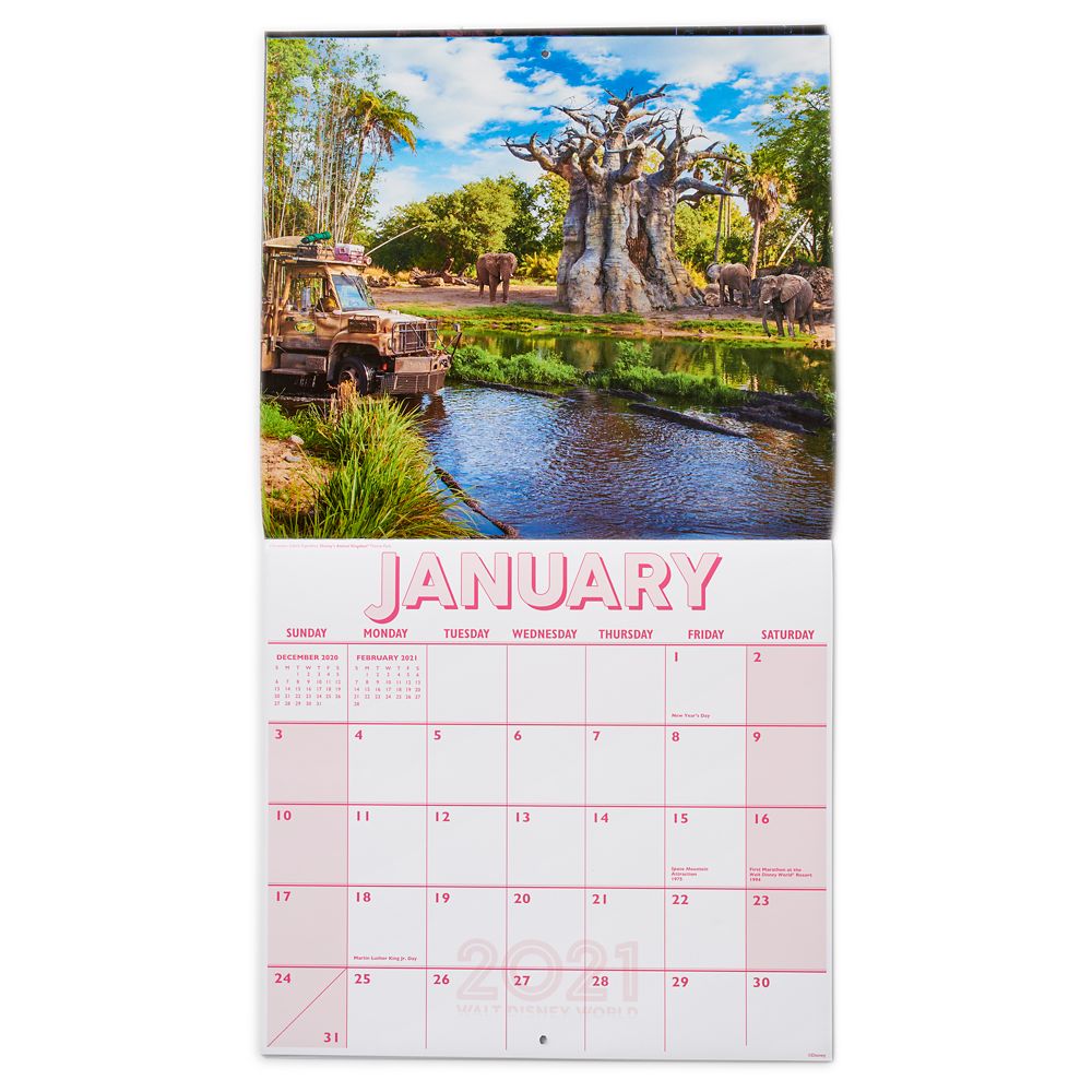 Walt Disney World 16 Month Calendar 2020-2021