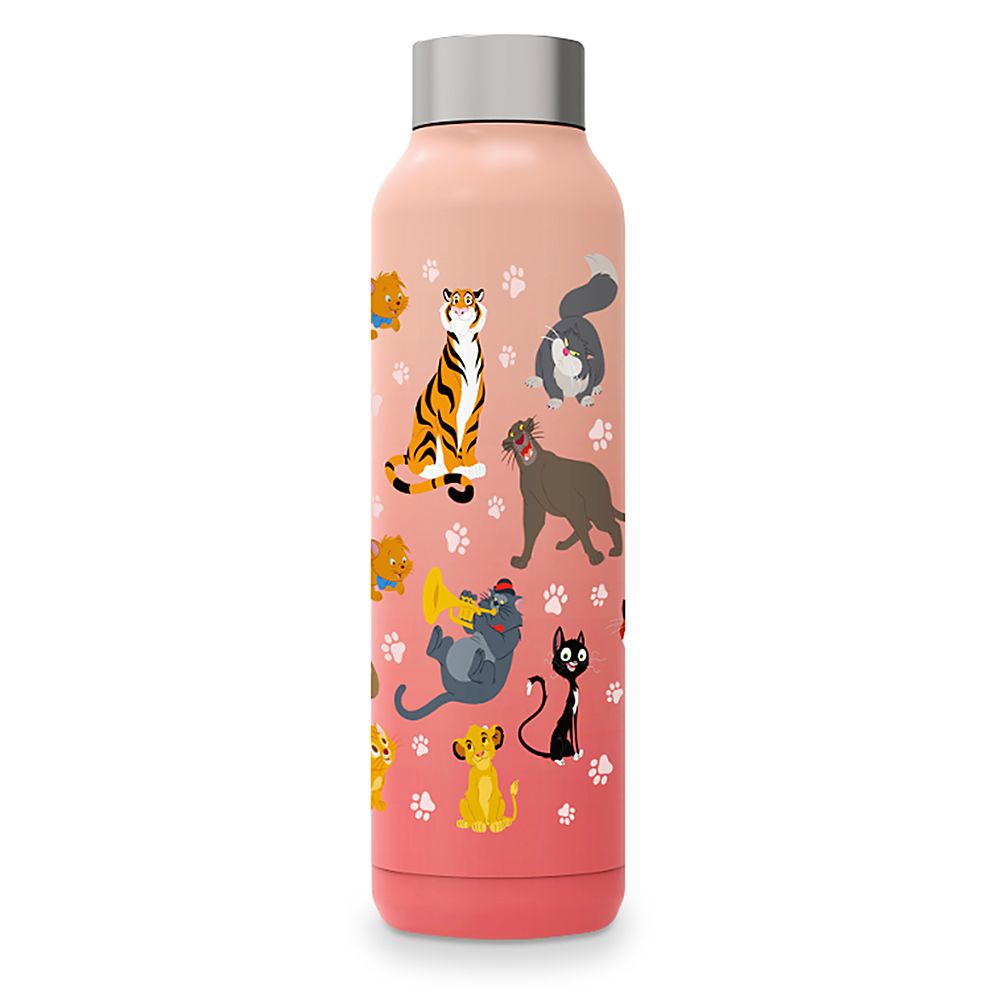 Disney Cats Stainless Steel Water Bottle