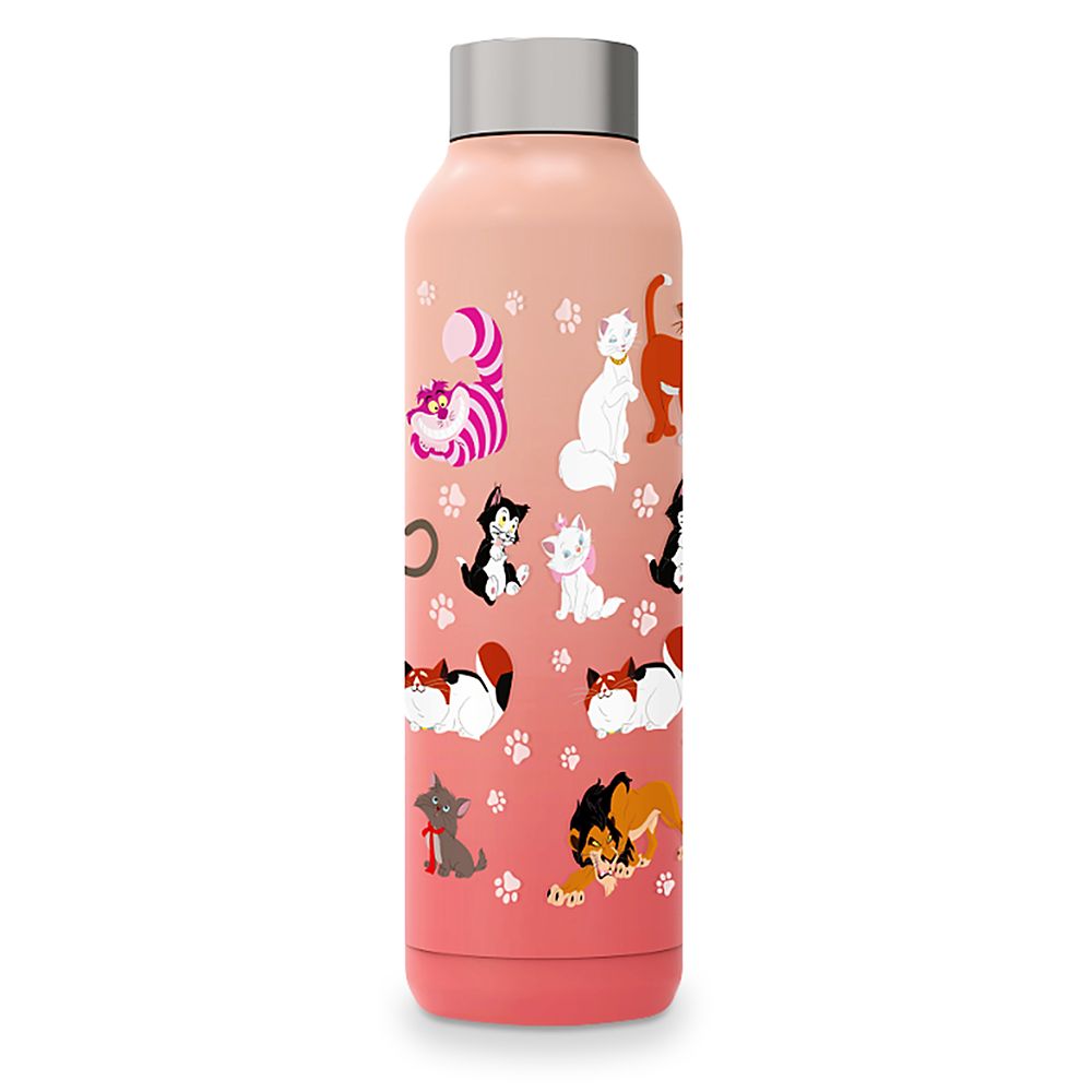 Disney Cats Stainless Steel Water Bottle