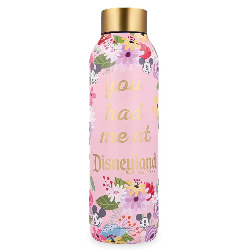 Mickey Mouse Stainless Steel Water Bottle – Disneyland