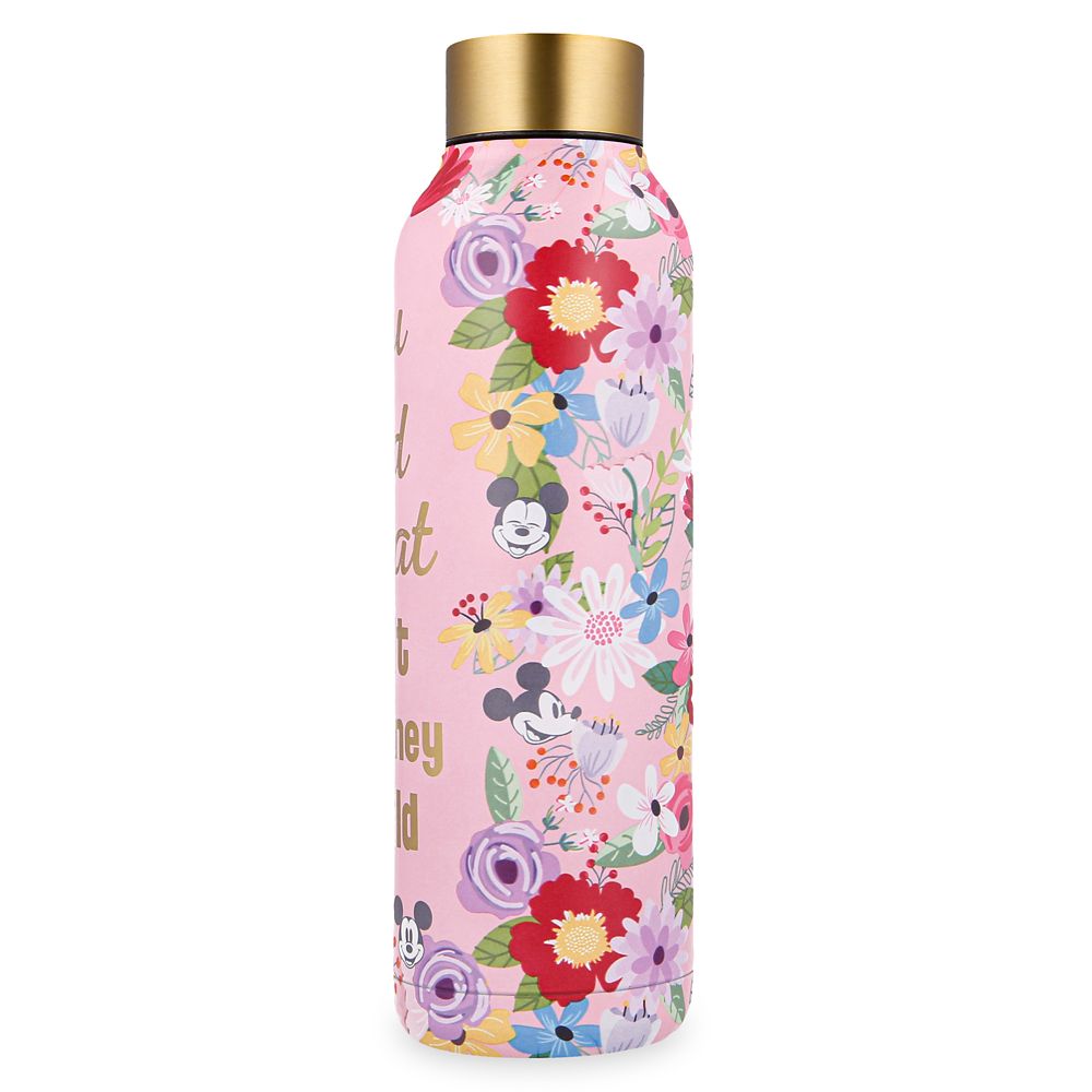 Mickey Mouse Stainless Steel Water Bottle – Walt Disney World