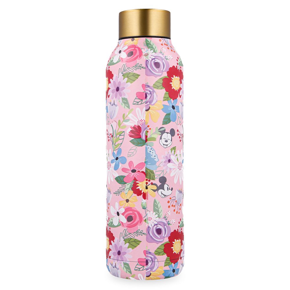 Mickey Mouse Stainless Steel Water Bottle – Walt Disney World