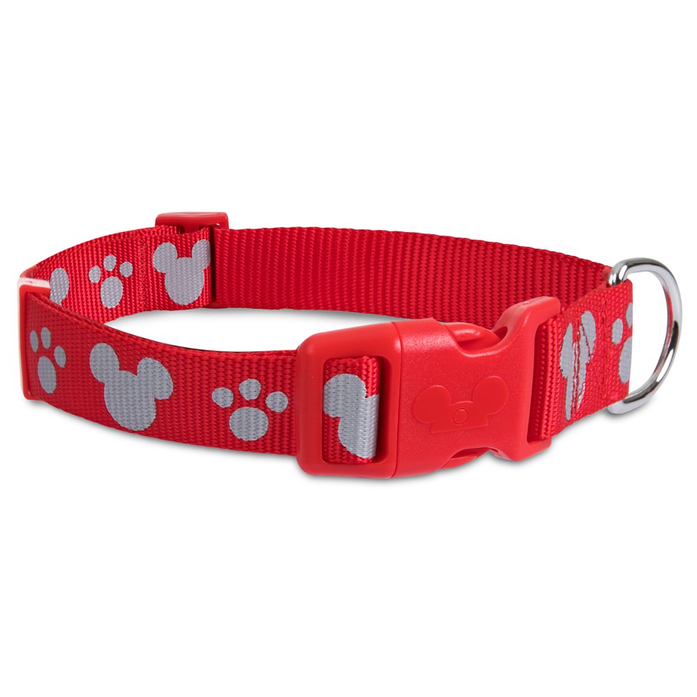 red dog collar and leash