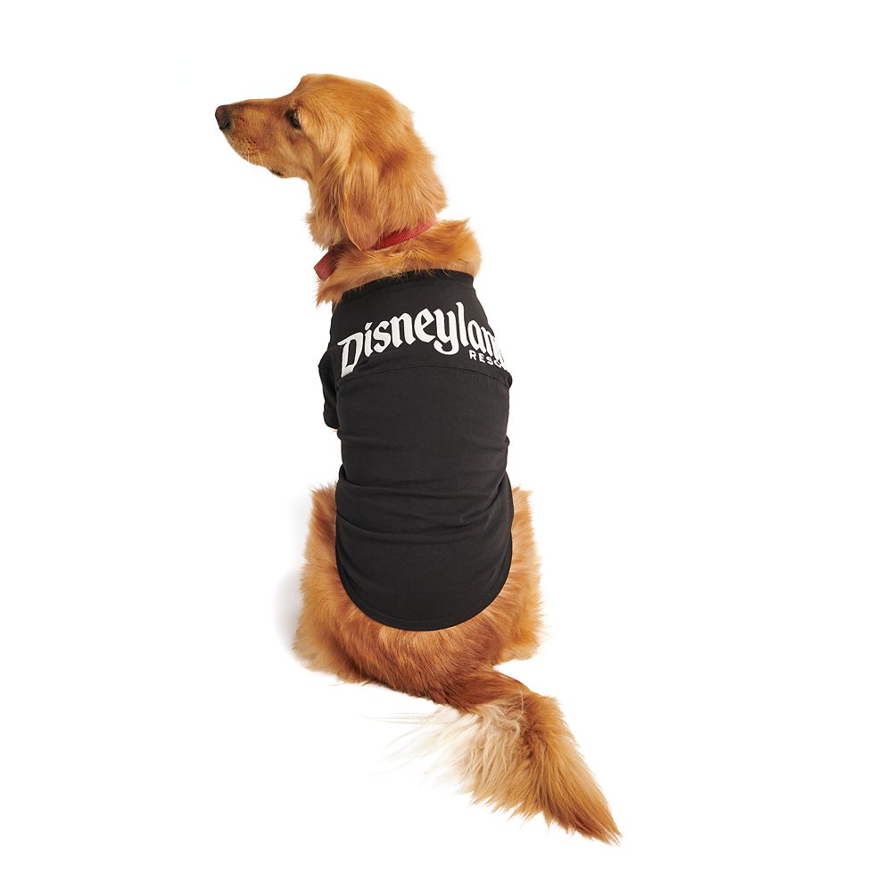 Disneyland Spirit Jersey for Dogs 