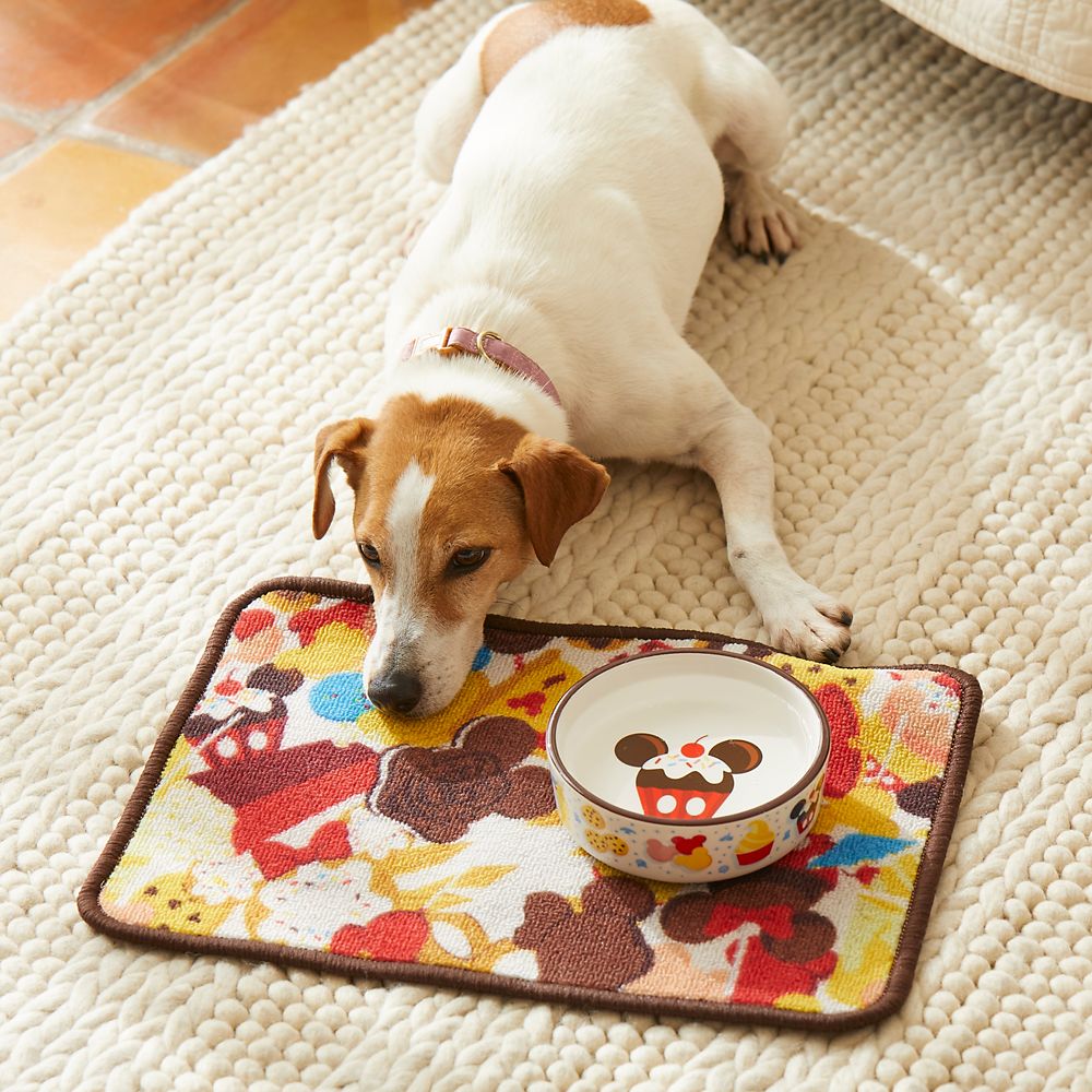 dog feeding mat