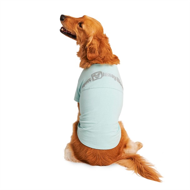 Walt Disney World Spirit Jersey for Dogs – Arendelle Aqua