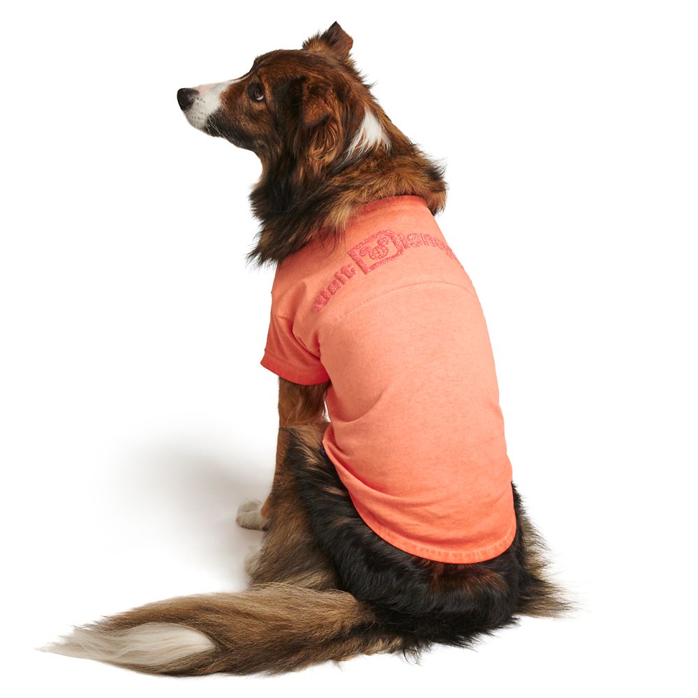 spirit jersey for dogs