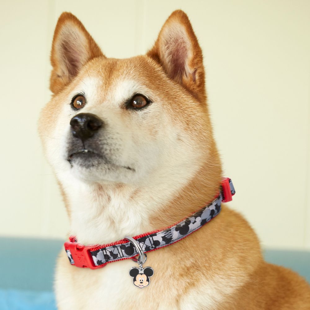 Mickey Mouse Dog Collar