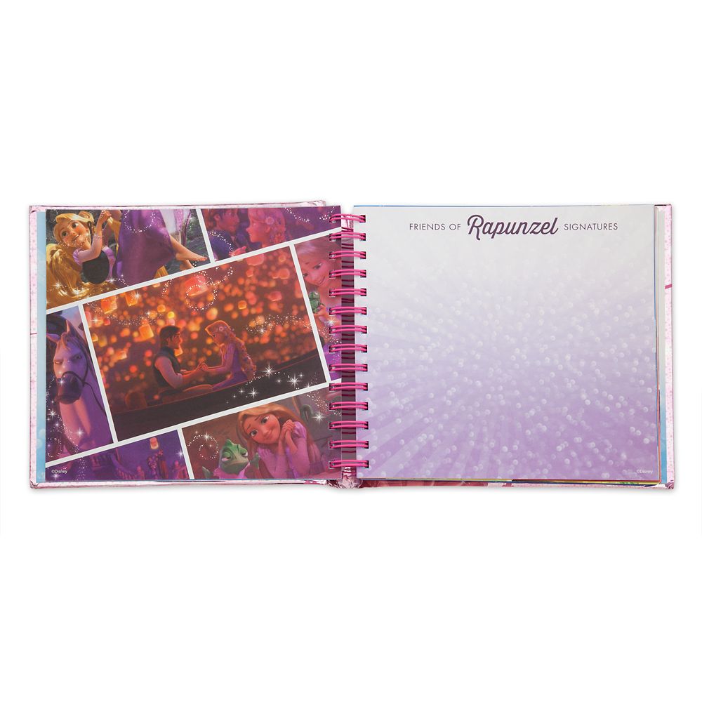 Disney Princess Memory Book