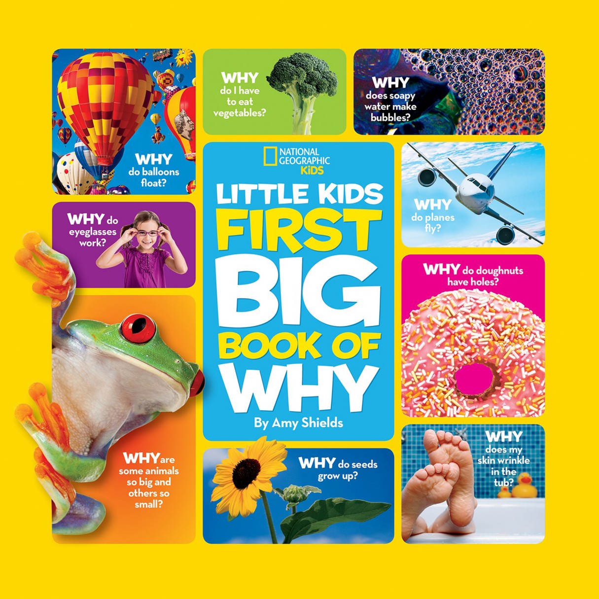 Little Kids First Big Book of Why – National Geographic