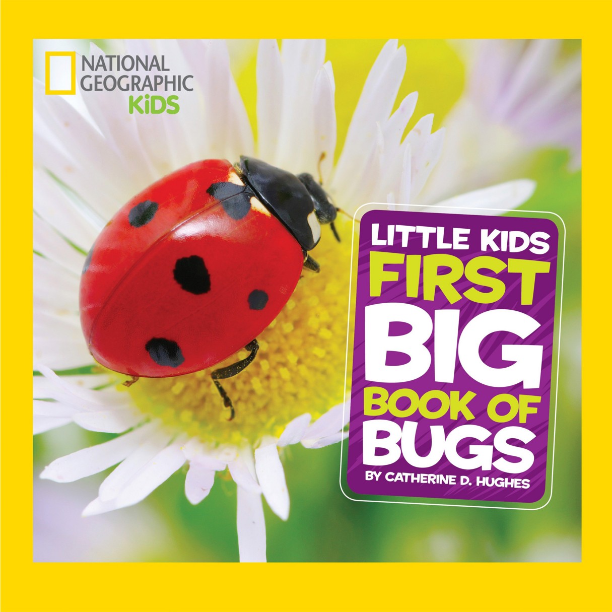 Little Kids First Big Book of Bugs – National Geographic