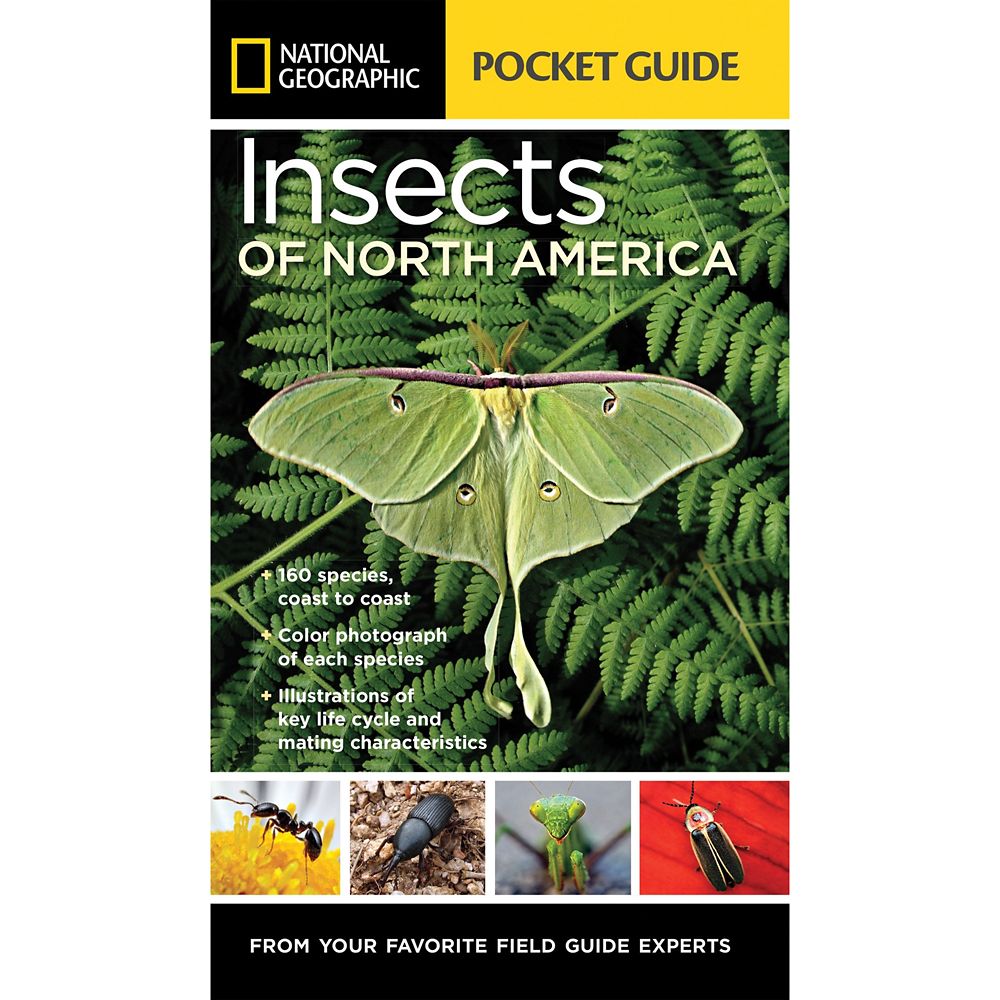 National Geographic Pocket Guide to Insects of North America Official shopDisney