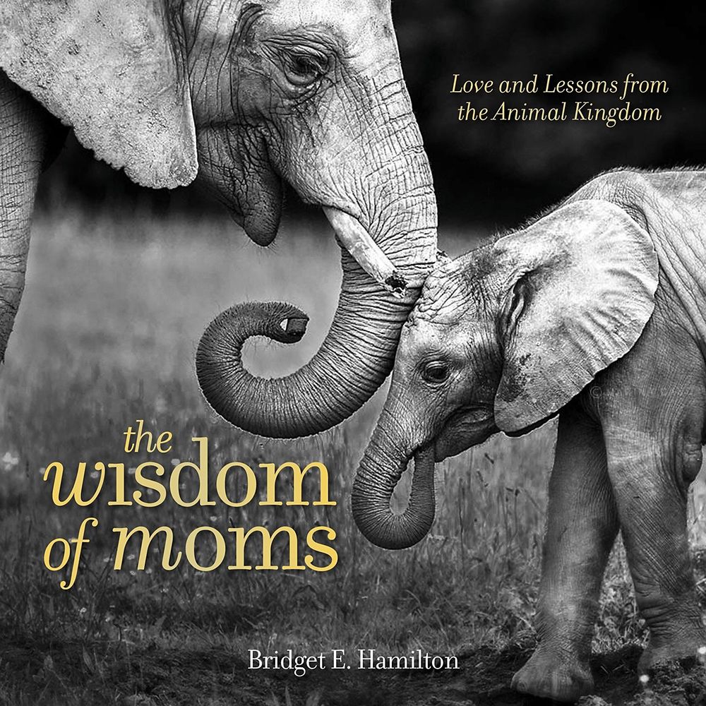 The Wisdom of Moms: Love and Lessons from the Animal Kingdom – National Geographic