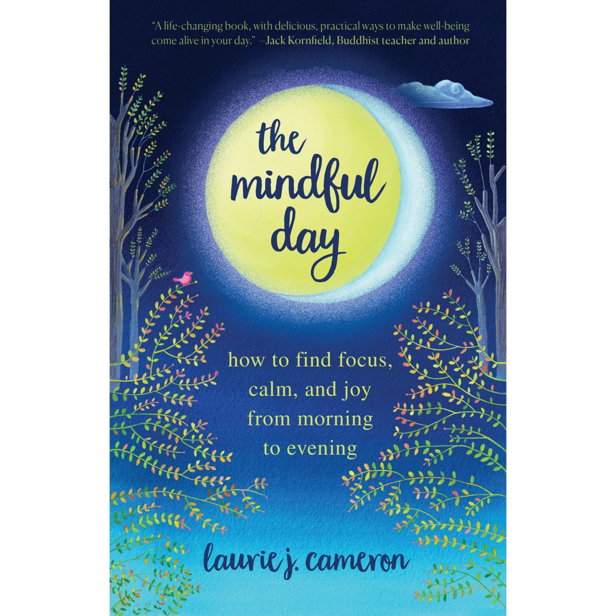 The Mindful Day: How to Find Focus, Calm, and Joy from Morning to Evening Book – National Geographic