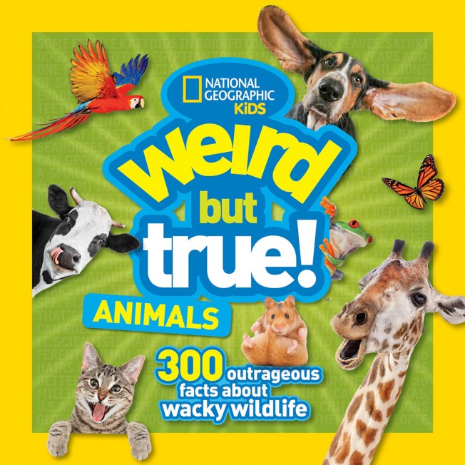 Weird But True Animals Book – National Geographic