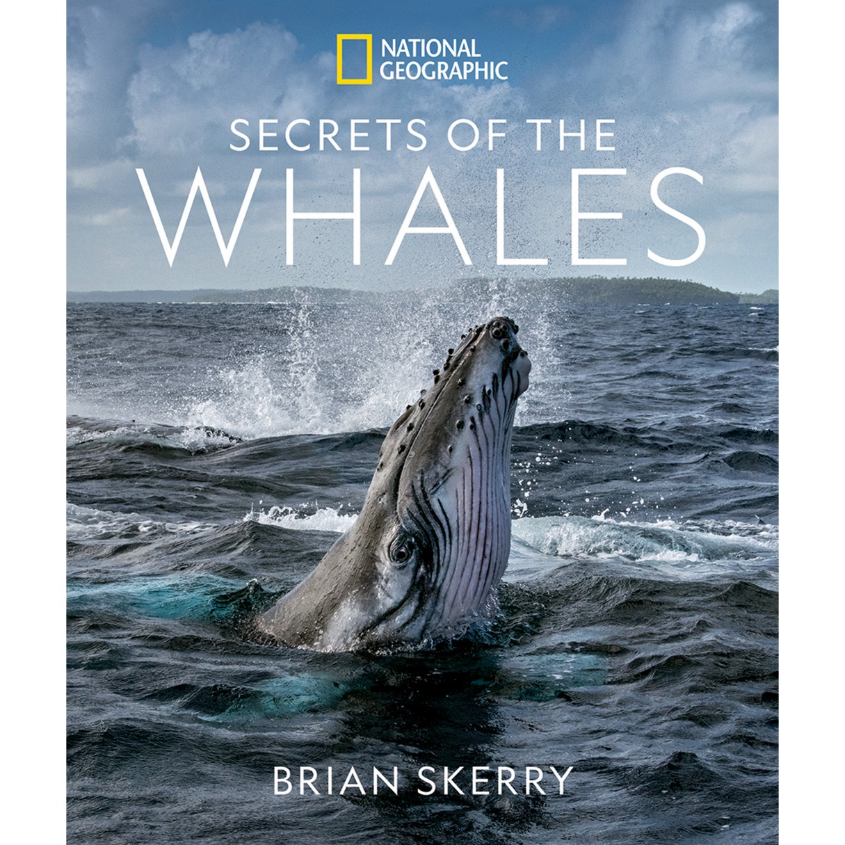 Secrets of the Whales Book