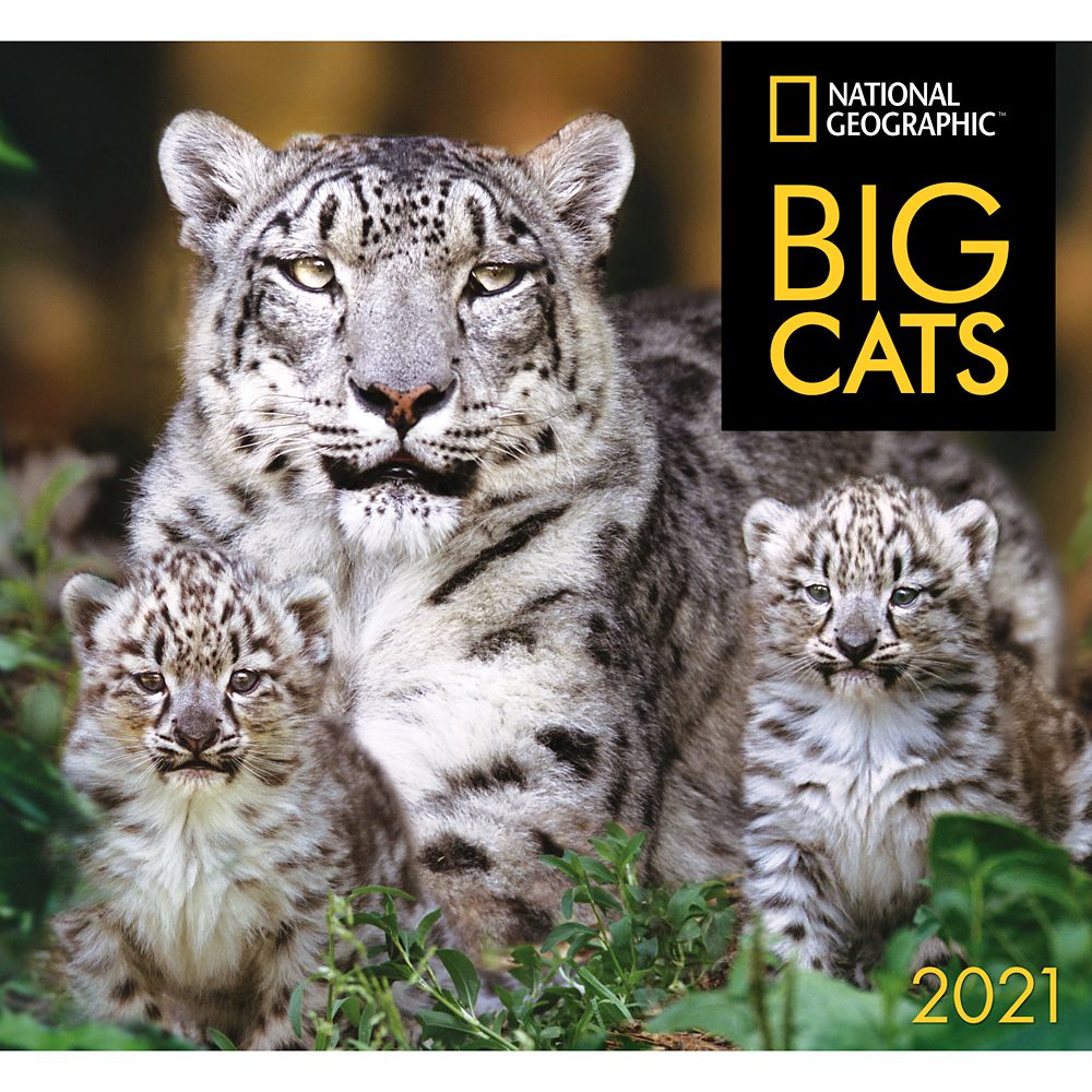 National Geographic 2021 Big Cats Wall Calendar