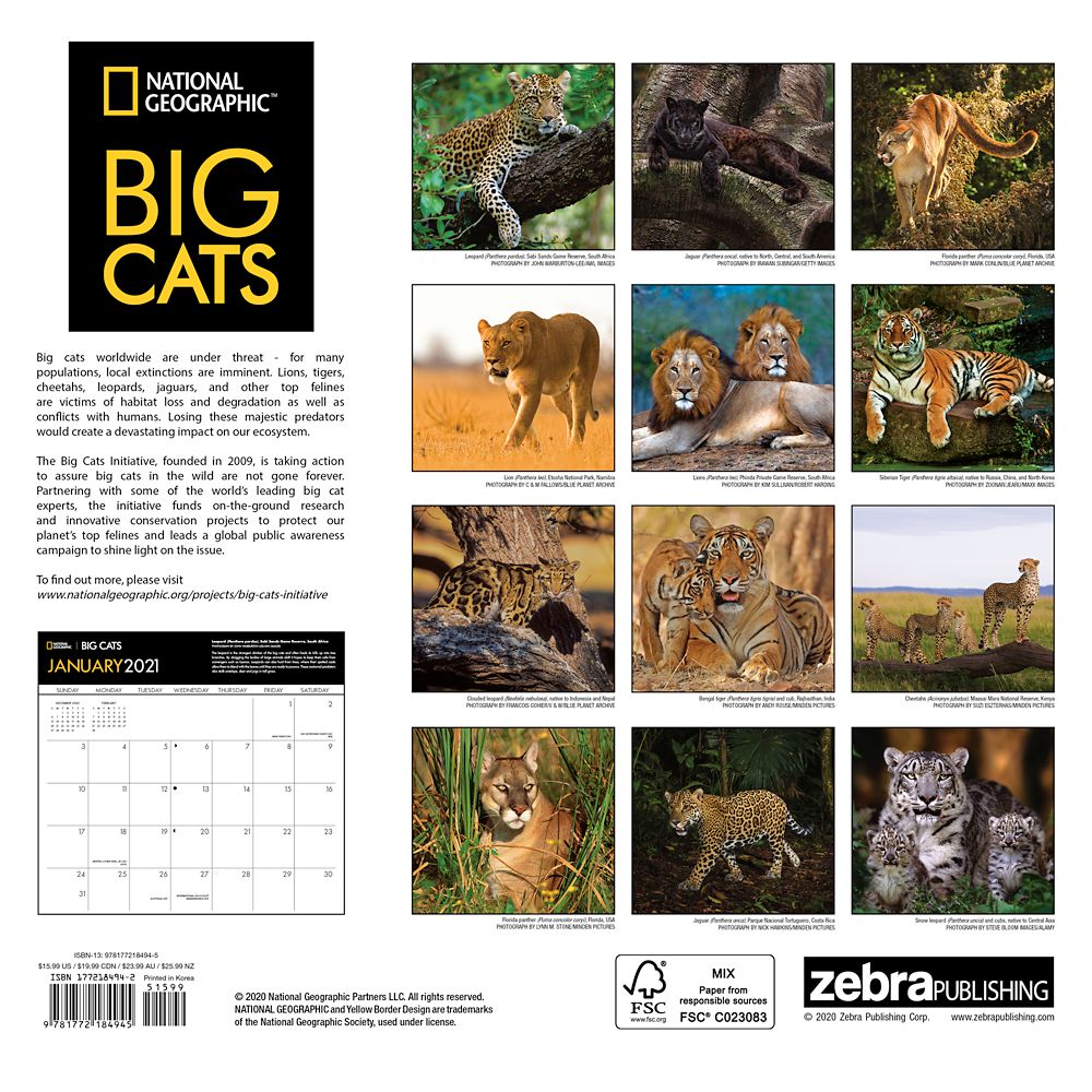 National Geographic 2021 Big Cats Wall Calendar