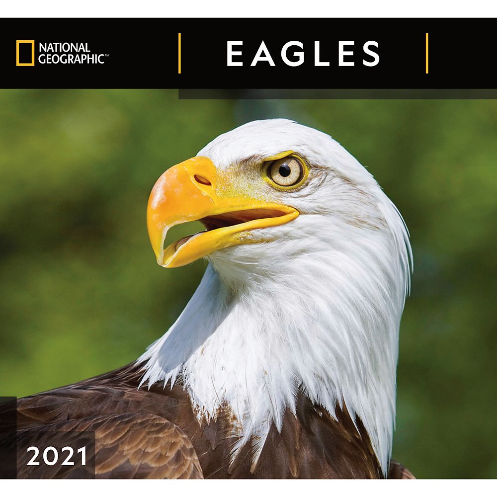 National Geographic 2021 Eagles Wall Calendar now available for