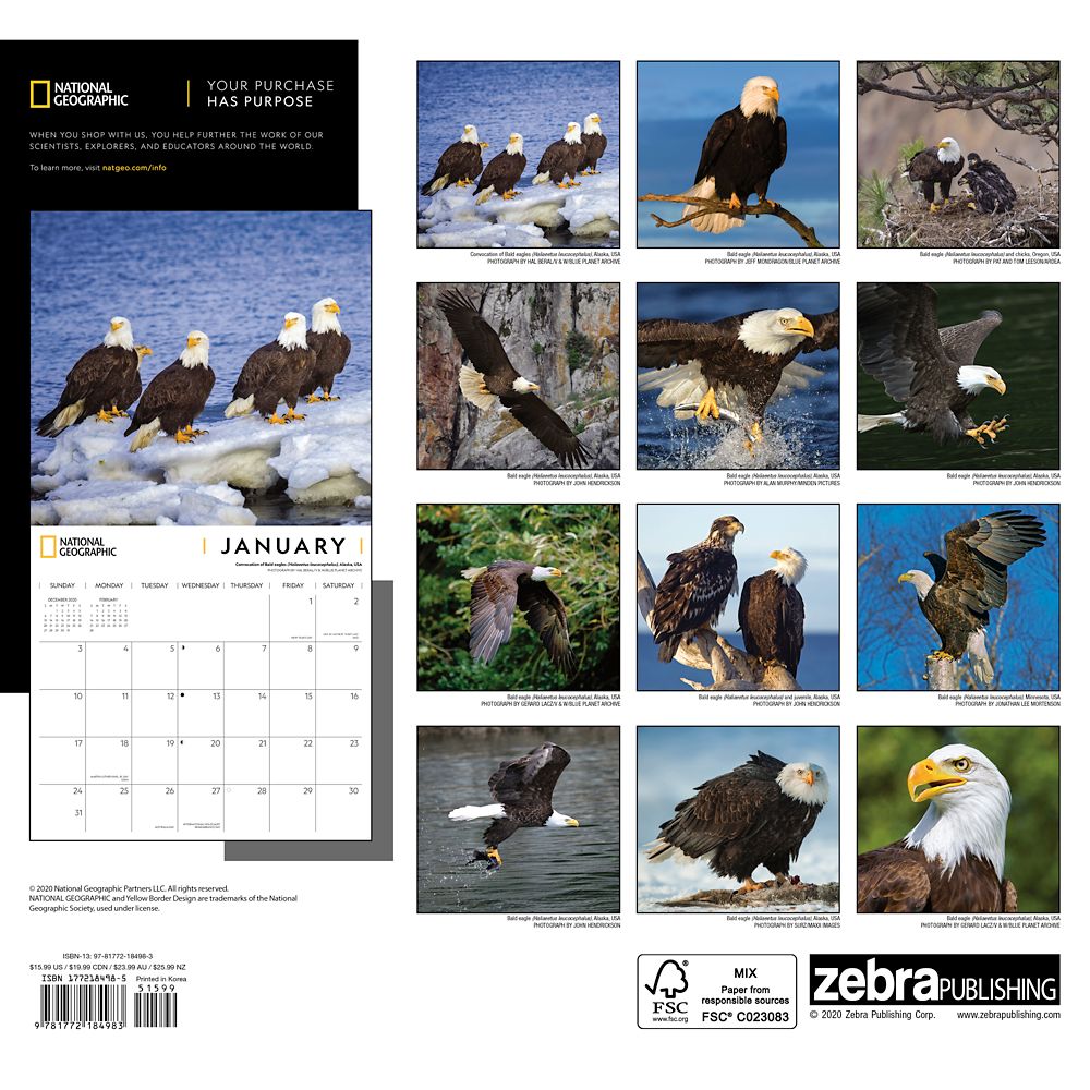 National Geographic 2021 Eagles Wall Calendar