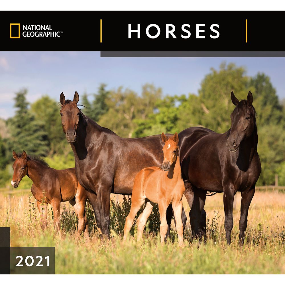 National Geographic 2021 Horses Wall Calendar